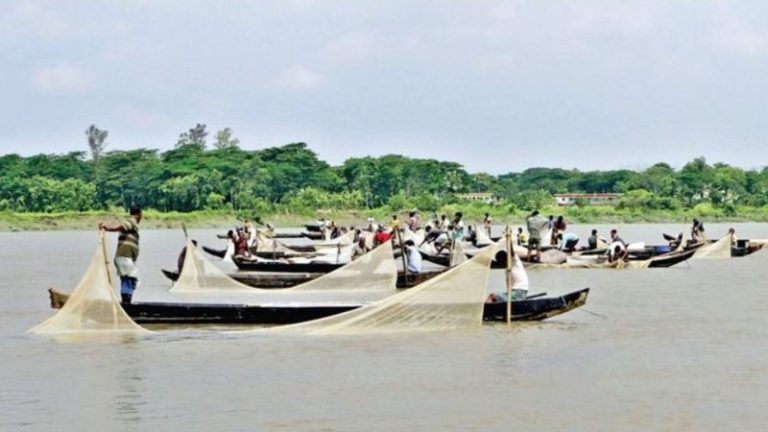 বৃষ্টিপাত নেই তাই বাড়ছে হালদার পানির লবণাক্ততা