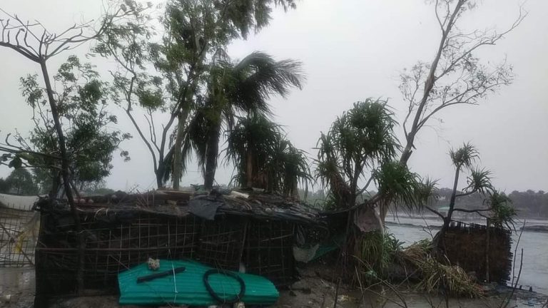 সেন্টমার্টিনে গাছ চাপা পড়ে এক নারীসহ দুজনের মৃত্যু