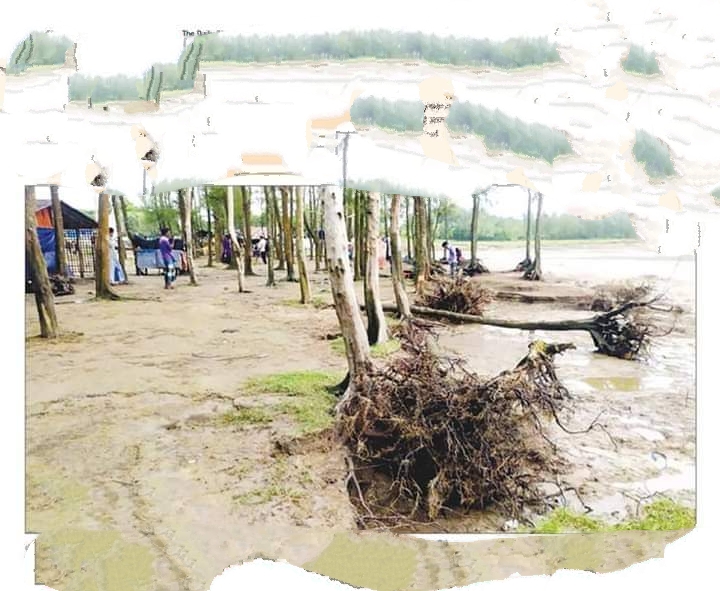 সীতাকুন্ড সমুদ্রপাড়ের ঝাউগাছ বিলুপ্ত,  ঝুঁকি বাড়ছে উপকুলে