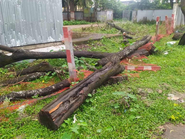গাছ কাটার দায়ে এসিল্যান্ডসহ পাঁচজনের বিরুদ্ধে মামলা