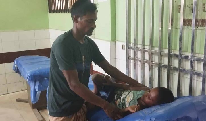 ব্রাহ্মণবাড়িয়ায় পাগলা কুকুরের কামড়ে আহত ১০