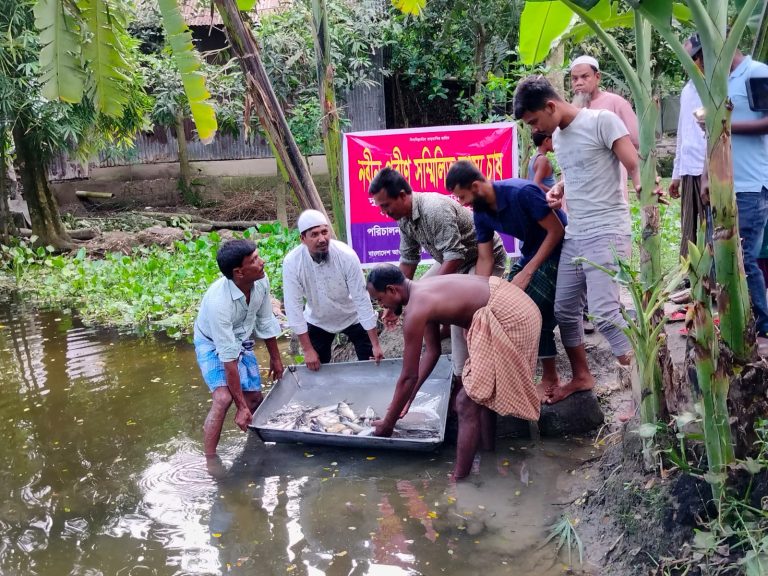 পরিত্যক্ত খালে ১২ মন মাছের পোনা অবমুক্ত করলো যুবলীগ নেতা শামীম সিকদার