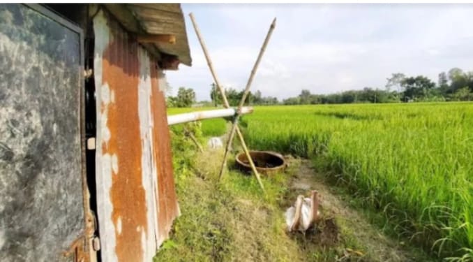সেচ পাম্প চুরি নিয়ে  বিপাকে কৃষক, চোর ধরতে পুরস্কার ঘোষনা