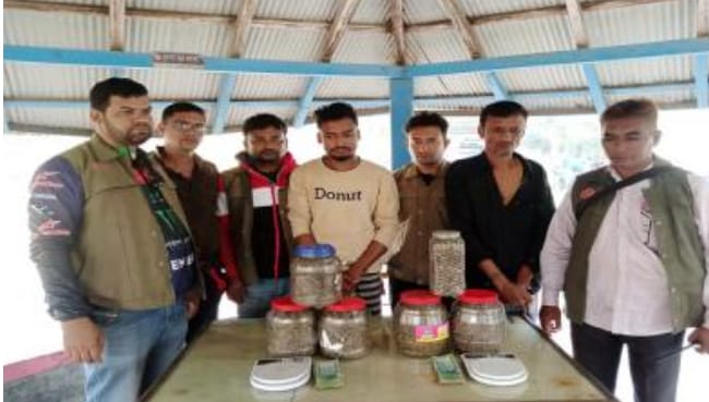 বরগুনার তালতলীতে গাঁজাসহ বাবা ছেলে আটক