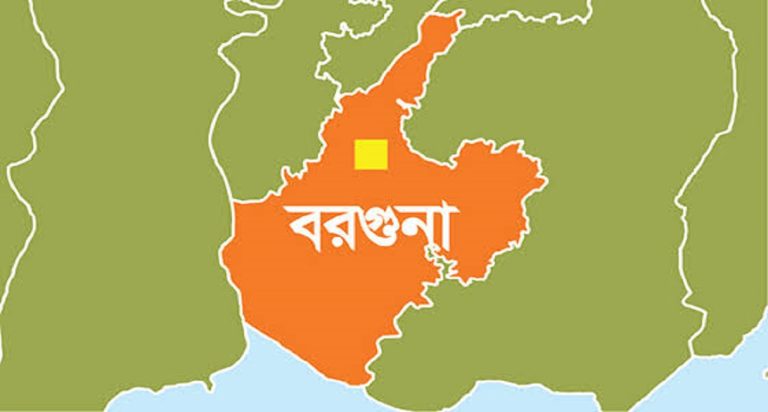 বরগুনা হানাদার মুক্ত দিবস আজ