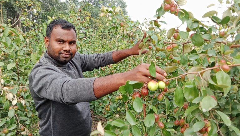 তরুণ কৃষি উদ্যোক্তা রাকিবুল ইসলামের সফলতার গল্প