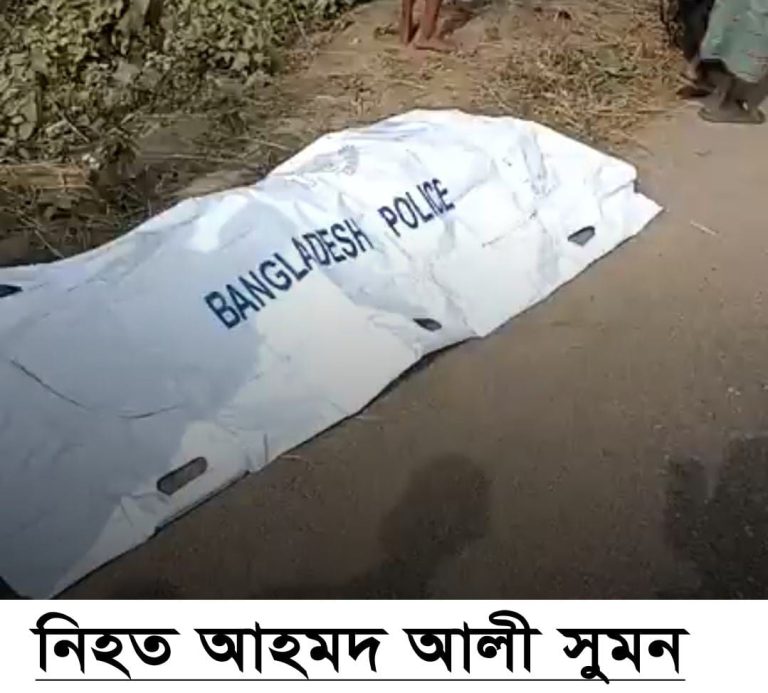 নিয়ন্ত্রণ হরিয়ে নবীগঞ্জে এক মোটরসাইকেল আরোহী নিহত