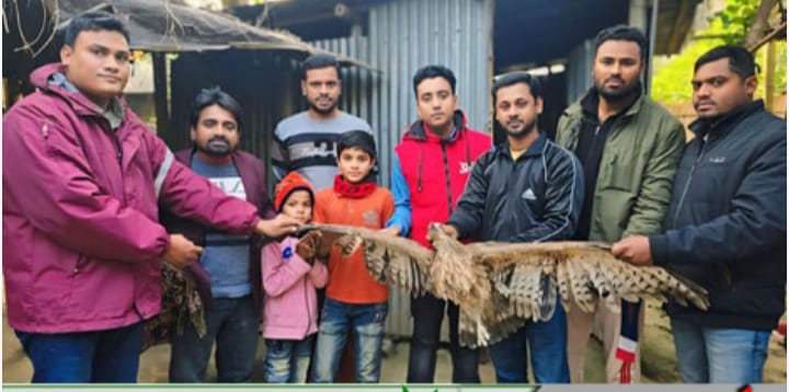 নাটোরের গুরুাসপুরে গুলিবিদ্ধ অবস্থায় ভুবন চিল উদ্ধার