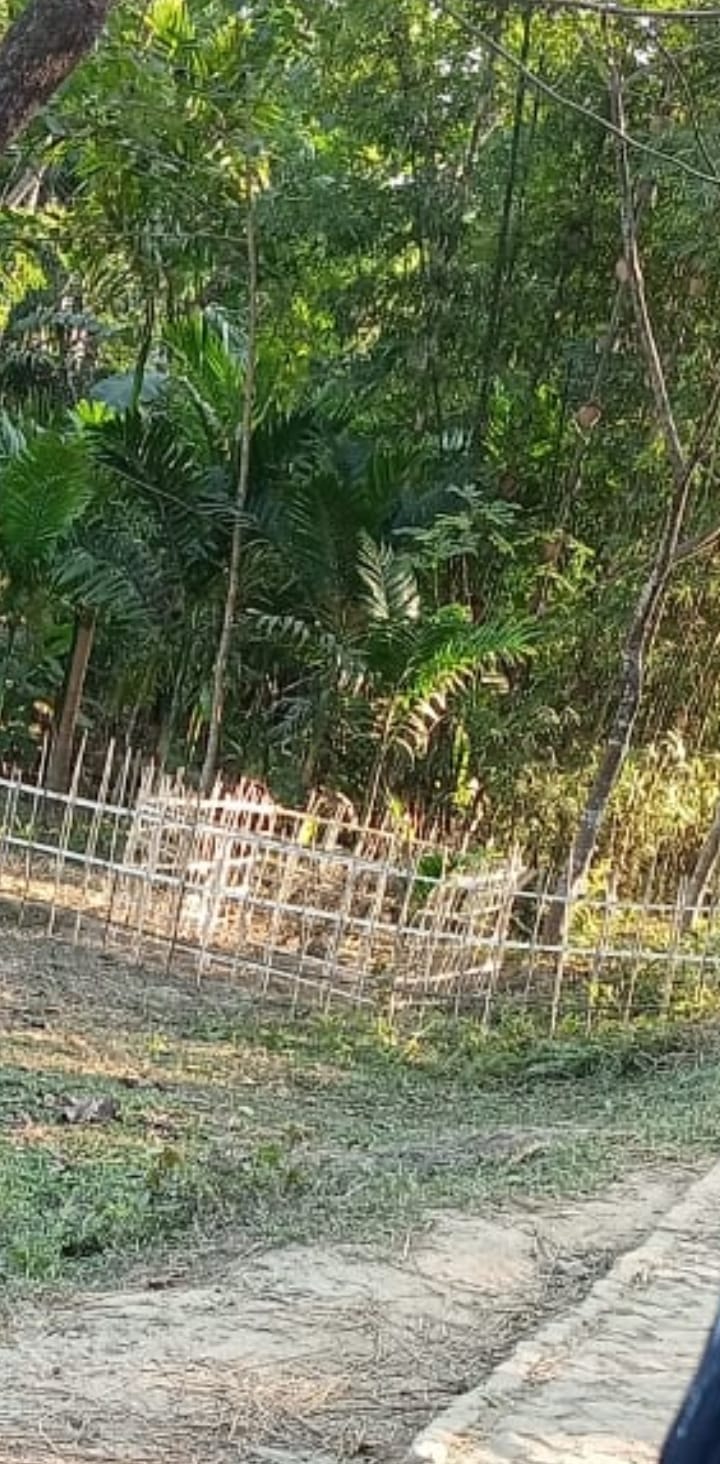 জকিগঞ্জে তরুণীর রহস্যজনক মৃত্যু
