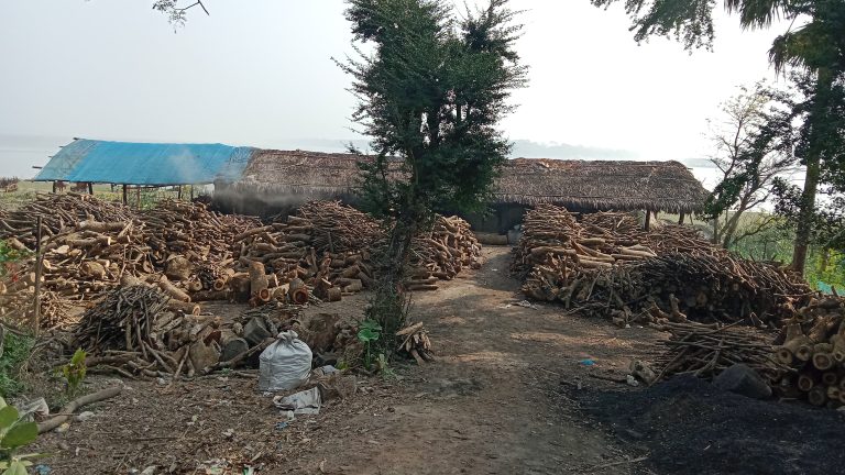 অবৈধ কয়লা চুল্লীতে অভিযান পরিচালনা করেছে পরিবেশ অধিদপ্তর