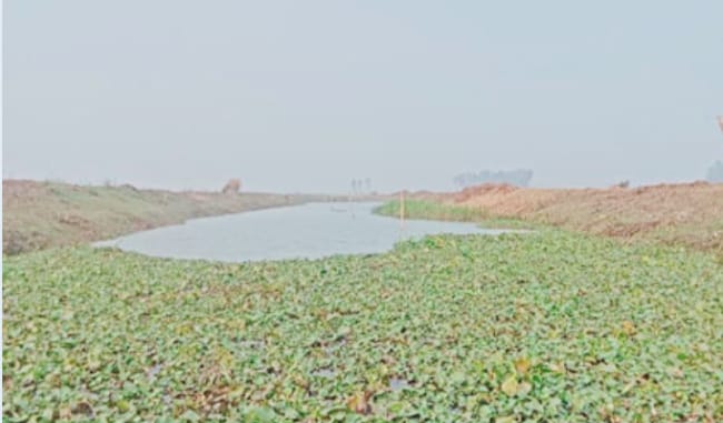 নাটোরে ২৭৭ কিলোমিটার খাল পুনঃখনন,কৃষিতে নতুন সম্ভবনা-সুফল পাচ্ছেন কৃষকেরা