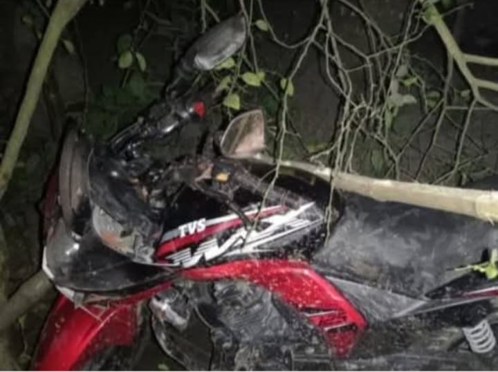 নাটোরের নলডাঙ্গায় সড়ক দুর্ঘটনায় দুই স্কুল ছাত্রের মৃত্যু