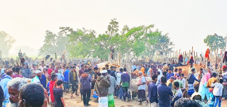 নবীগঞ্জে প্রশাসনের নিষেধাজ্ঞা অমান্য করে বসেছে জনতার বাজার পশুরহাট
