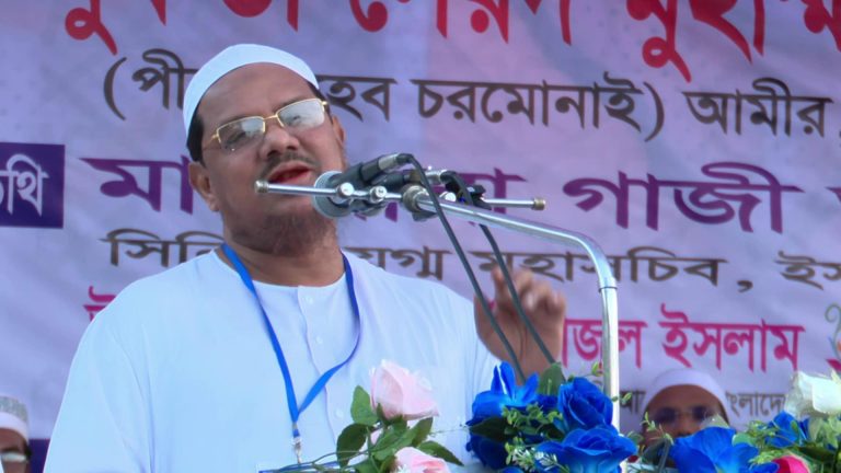 দেশ নিয়ে  ছিনিমিনি খেললে সেটা  সহ্য করা হবে না বললেন পীর চরমোনাই