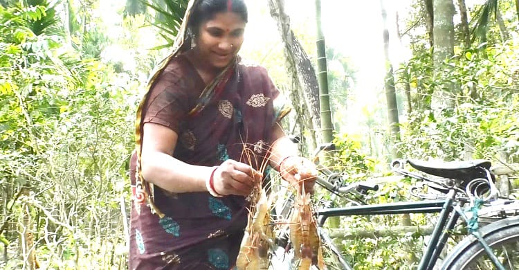 প্রথমবারের মতো কুড়িগ্রামে দেশি মাছের সঙ্গে চাষ হচ্ছে গলদা চিংড়ি