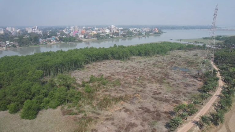 পটুয়াখালীতে প্রাকৃতিক ছৈলা বন উজাড়: দখলদারদের দৌরাত্ম্য, প্রশাসনের নীরবতা