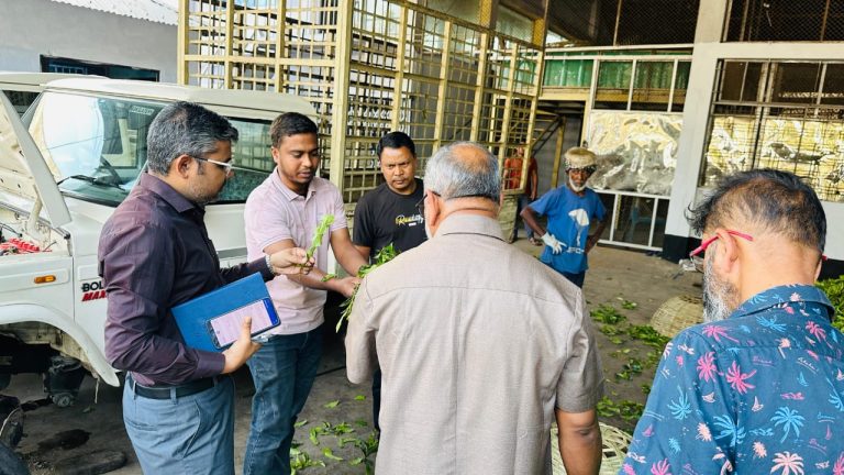 পঞ্চগড়ে অস্বাস্থ্যকর পরিবেশে মানহীন চাপাতা সংগ্রহে ১ লাখ টাকা জরিমানা