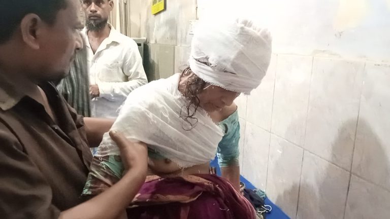 নবীগঞ্জে ধারালো অস্ত্র দিয়ে মাকে কুপিয়ে ক্ষতবিক্ষত করেছে মাদকাসক্ত ছেলে