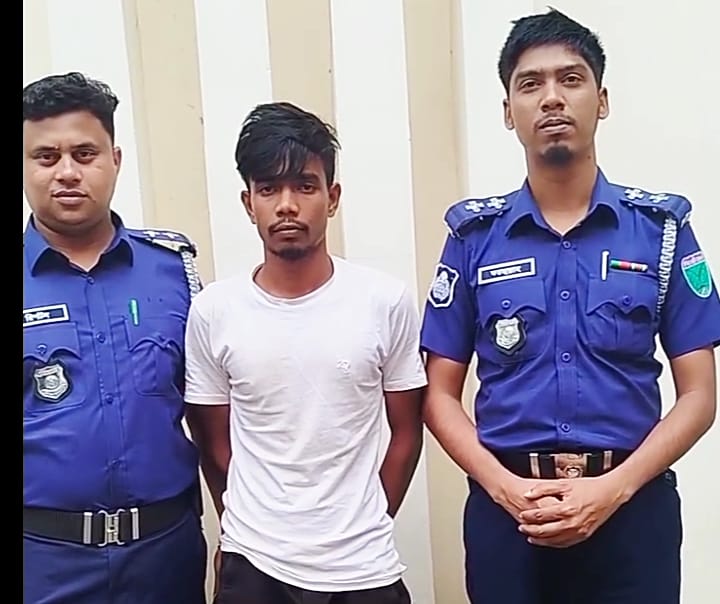 চুনারুঘাটে ছোট ভাইয়ের হাতে বড় ভাই খুন, ঘাতক গ্রেপ্তার