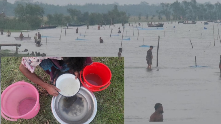 অজ্ঞতা ও দারিদ্রতার সুযোগ নিচ্ছে রেনু সিন্ডিকেট , অভিযানে হামলার শিকার হচ্ছে মৎস্য বিভাগ