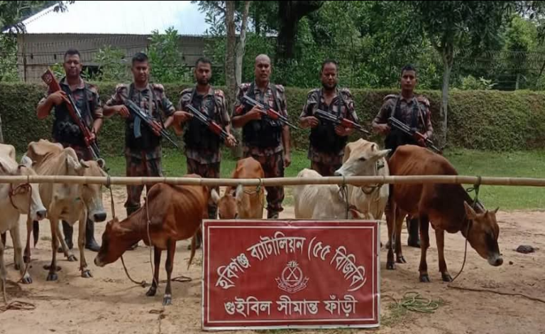 হবিগঞ্জ সীমান্তে বিজিবি’র ধারাবাহিক অভিযান : ৫ দিনে ১কোটি ৭২লাখ টাকার চোরাচালানি পণ্য ও মাদক জব্দ