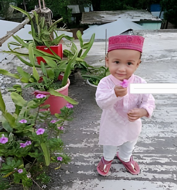 বরগুনায় ডেঙ্গুতে তিন বছরের শিশুর মৃত্যু, মৃতের সংখ্যা ১৭