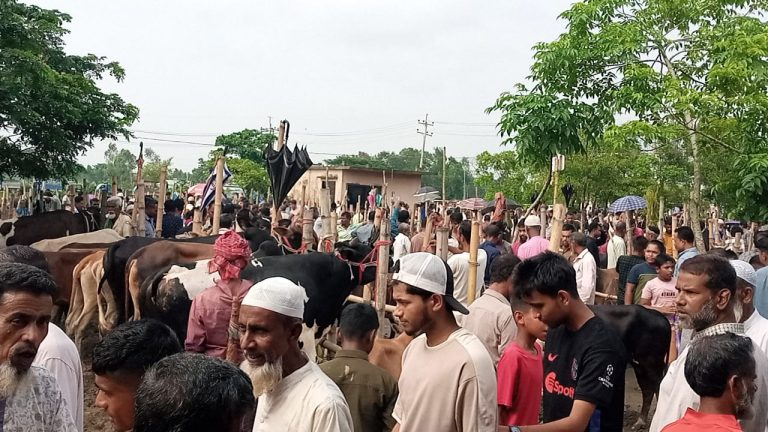 ঈদুল আজহা সামনে রেখে নবীগঞ্জ পৌর পশুর হাটে জমজমাট বেচাকেনা