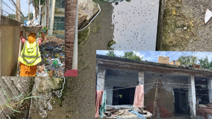 বরগুনায় ডেঙ্গুর ভয়াবহতা বাড়ছে: দায় এড়াতে পারে না পৌরসভা
