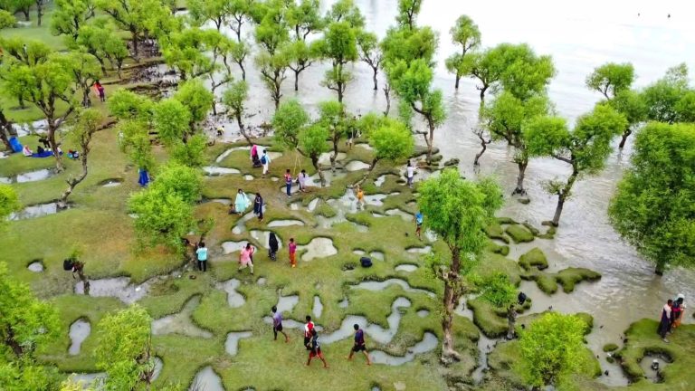 তালতলীর পর্যটনে যুক্ত হলো নতুন সম্ভাবনার নাম  ‘নিদ্রার চর’