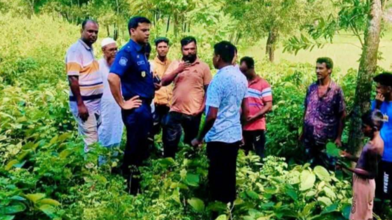 ভালুকায় পুলিশের অভিযান: বিপুল পরিমাণ চোলাই মদ জব্দ, একজন গ্রেপ্তার