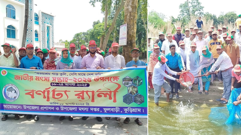 ফুলবাড়ীতে জাতীয় মৎস্য সপ্তাহ উপলক্ষে র‍্যালি, পোনা অবমুক্ত ও আলোচনা সভা