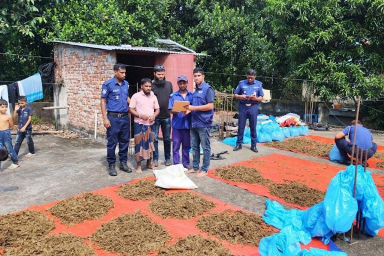 বাড়ির ছাদে শুকানো হচ্ছিল গাঁজা, আটক ১