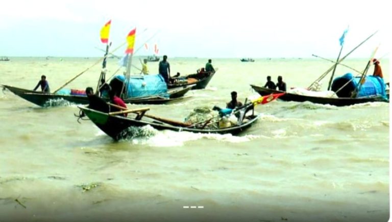 ২২ দিনের নিষেধাজ্ঞা শেষ না হতেই নদীতে জেলেরা, বাজারে মিলছে ইলিশ