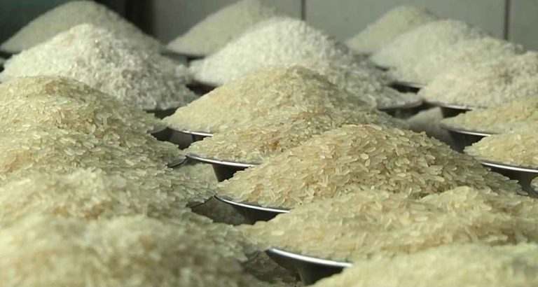 দুবাই ও মিয়ানমার থেকে ৪৪৬ কোটি টাকায় চাল কিনছে সরকার