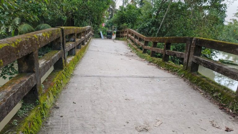 আয়রন ব্রীজ যেন মৃত্যুফাঁদ, ধসে পড়ার শঙ্কা নিয়ে চলছে যানচলাচল