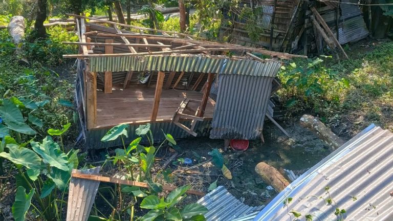 রাজাুপুরে দোকান ভাঙচুর করে মালপত্র লুট ও জমি দখল