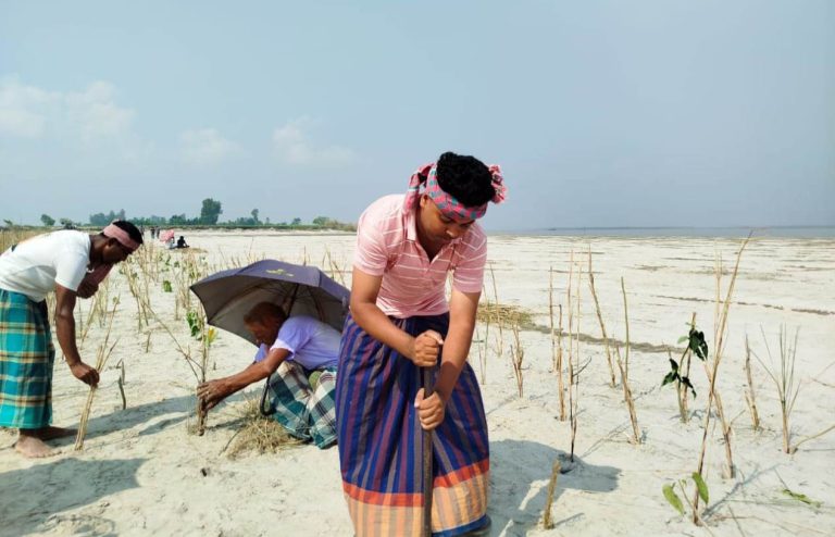 ব্রহ্মপুত্রের ভাঙন ঠেকাতে নিজেরাই বাঁধ গড়ছেন কুড়িগ্রামের খেরুয়ার চরবাসী