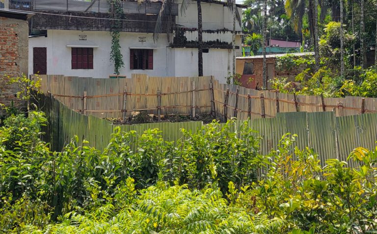 বাঁশখালীতে নার্সারিতে হামলা: হাজারো চারা গাছ কেটে দখলের অভিযোগ