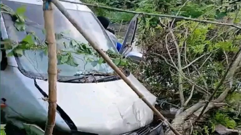 নলছিটিতে মাইক্রোবাস খাদে পড়ে আহত ৫