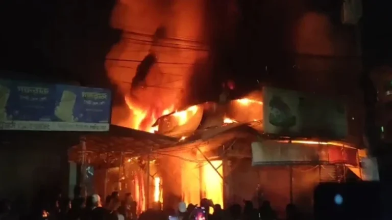 জিরানি মার্কেটে আগুন, পুড়ে ছাই ১০ দোকান