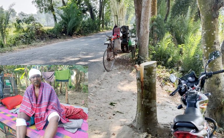 মহেশপুরে রাতে গাছ ফেলে পথ আটকে ডাকাতি, আহত দুই, আতঙ্কে এলাকাবাসী