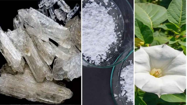 বরিশালে “শয়তানের নিঃশ্বাস”: রহস্যজনক গ্যাস চক্রে আতঙ্কিত নগরবাসী