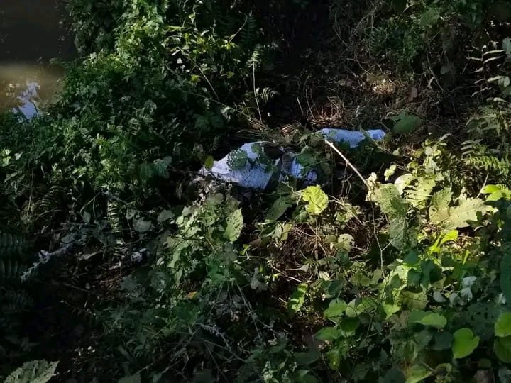 ঝিনাইগাতীতে জঙ্গল থেকে অজ্ঞাত নারীর অর্ধগলিত মরদেহ উদ্ধার