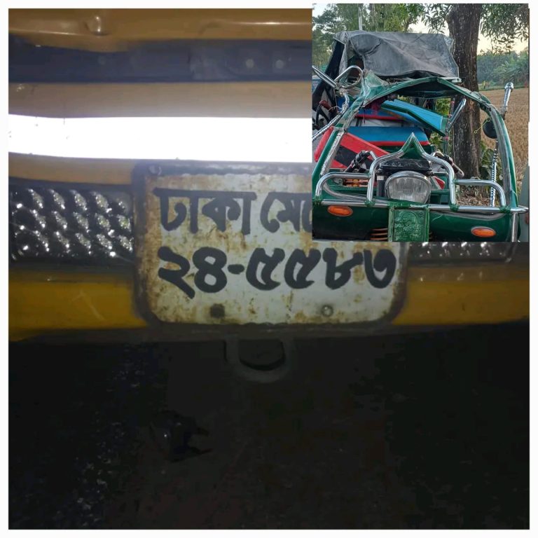 ডিমলায় ট্রাক–অটোরিকশার মুখোমুখি সংঘর্ষে ভাই–বোনের মর্মান্তিক মৃত্যু