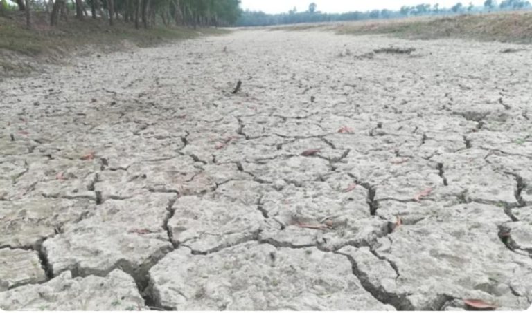 নাসিরনগরের গোয়ালনগরে পানির সংকটে বোরো আবাদ হুমকির মুখে
