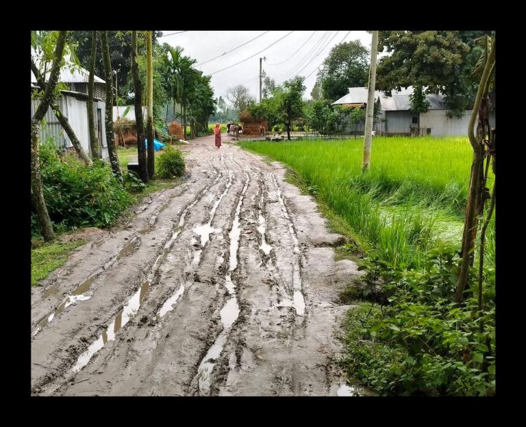 বকশীগঞ্জের ফজিলত পাড়ার সড়কের বেহাল দশা, দ্রুত সংস্কারের দাবি