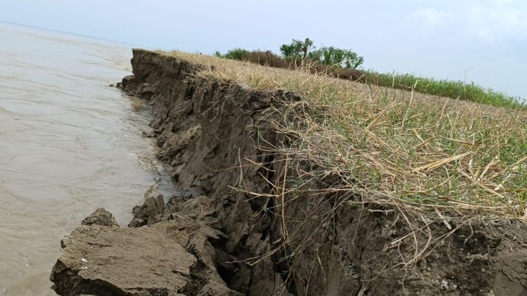 হরিরামপুরে পদ্মার ভাঙনে বিলীন শত শত পরিবারের ঘরবাড়ি