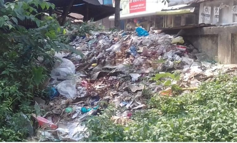 নাসিরনগরে সড়কের পাশে আবর্জনার স্তূপে চরম দুর্ভোগে সাধারণ মানুষ
