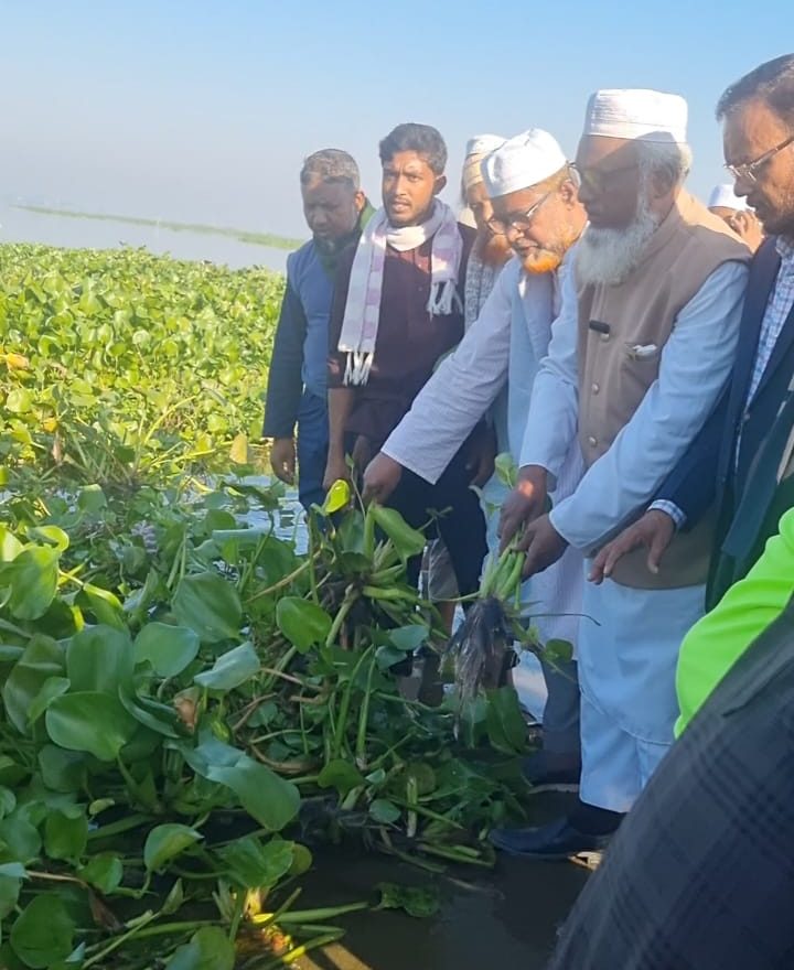 নলডাঙ্গার হালতির বিলের রাস্তা পরিষ্কার করলো জামায়াত নেতাকর্মীরা