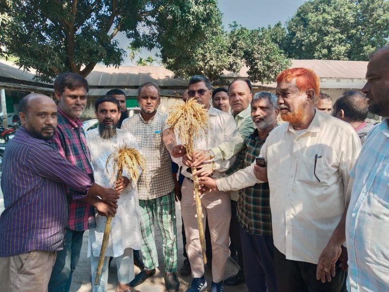 নীলফামারী-০২ আসনে ধানের শীষের প্রার্থী সাইফুল্লাহ রুবেলের গণসংযোগ